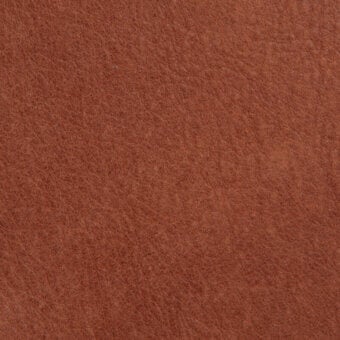 savana-1002